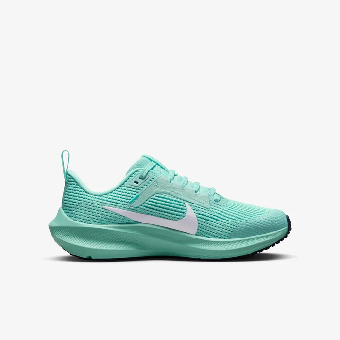 Nike Air Zoom Pegasus 40