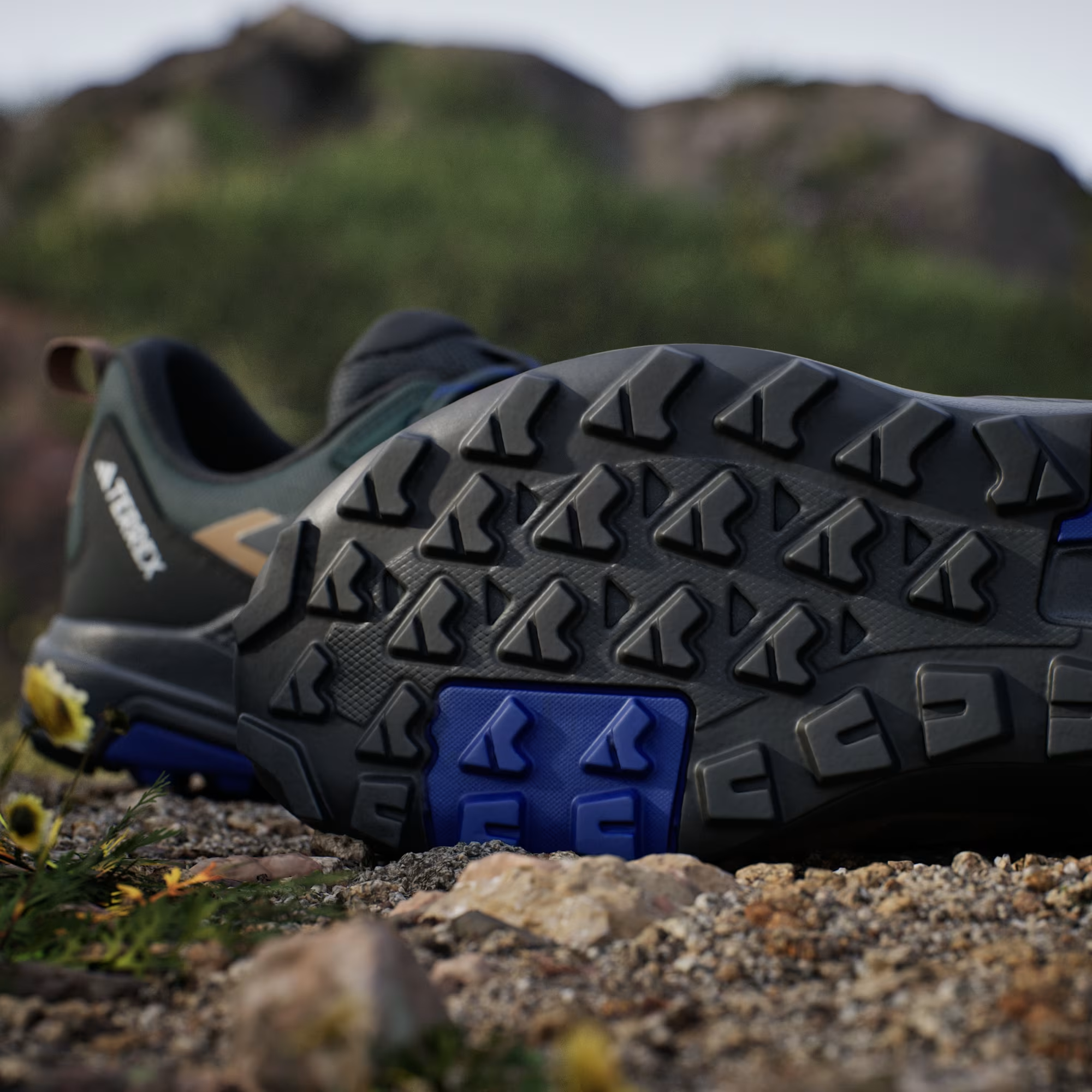 Adidas Terrex Anylander