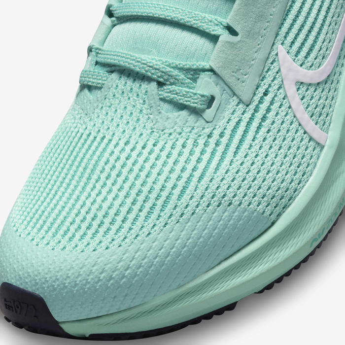 Nike Air Zoom Pegasus 40