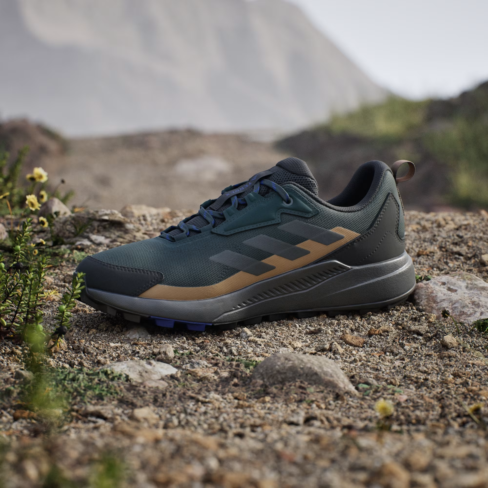 Adidas Terrex Anylander