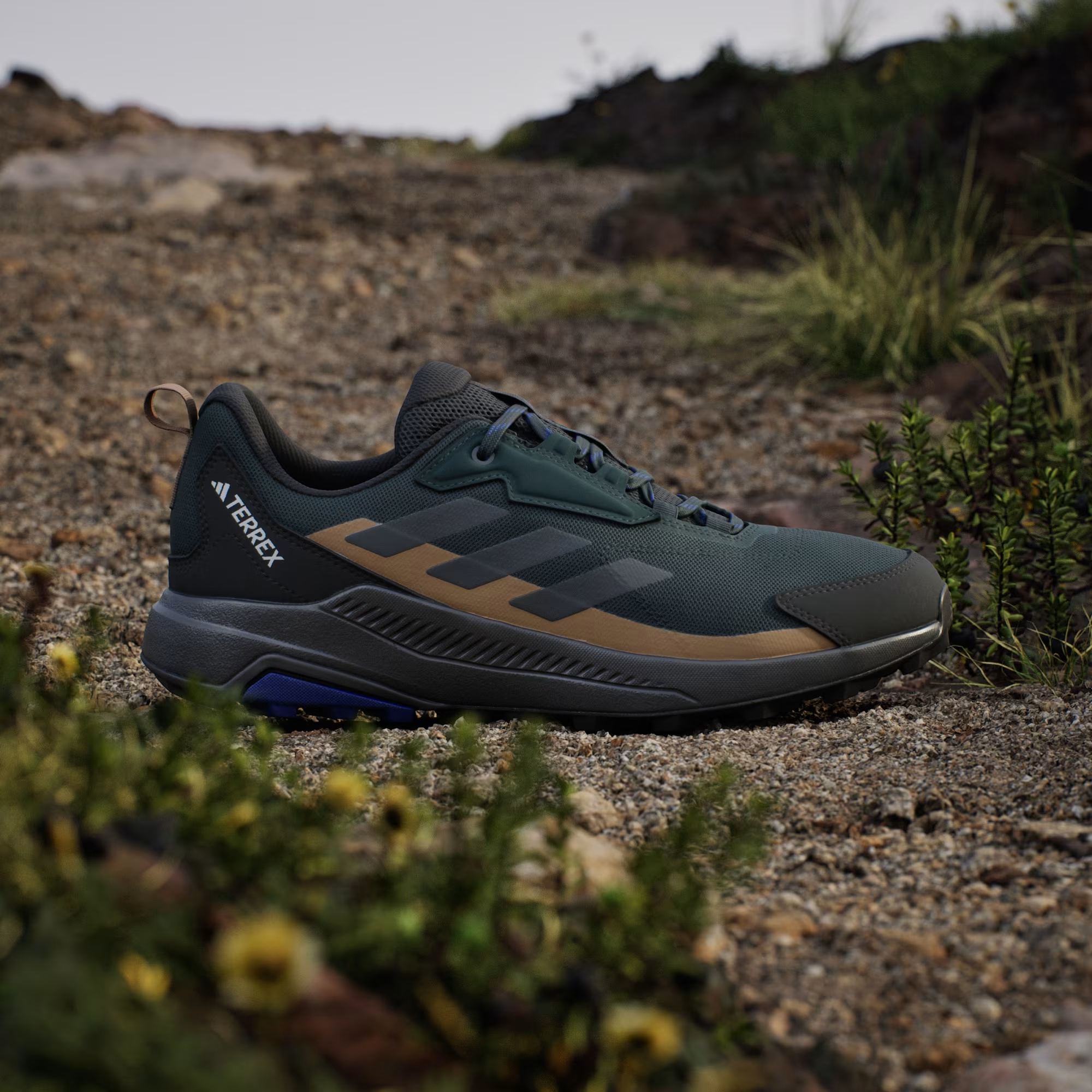 Adidas Terrex Anylander