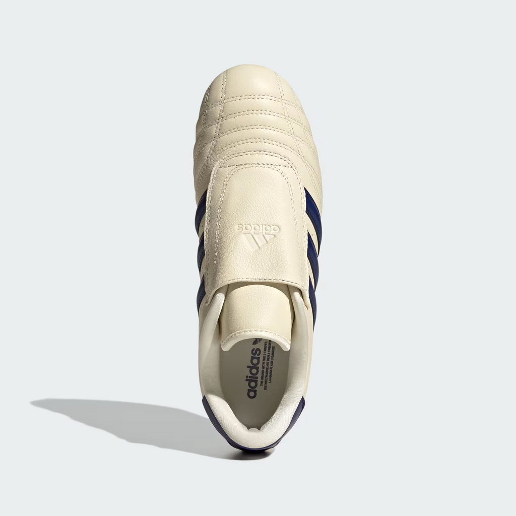 Adidas Taekwondo Shoes