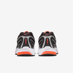 Nike Air Pegasus 2005