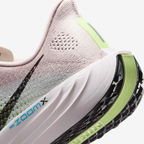 Nike Pegasus Plus