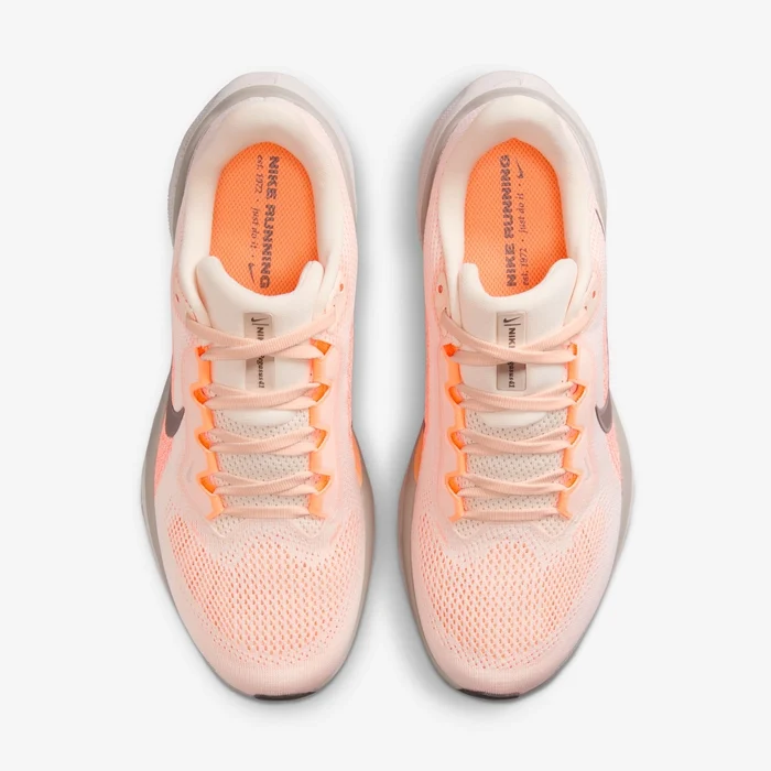 Nike Pegasus 41
