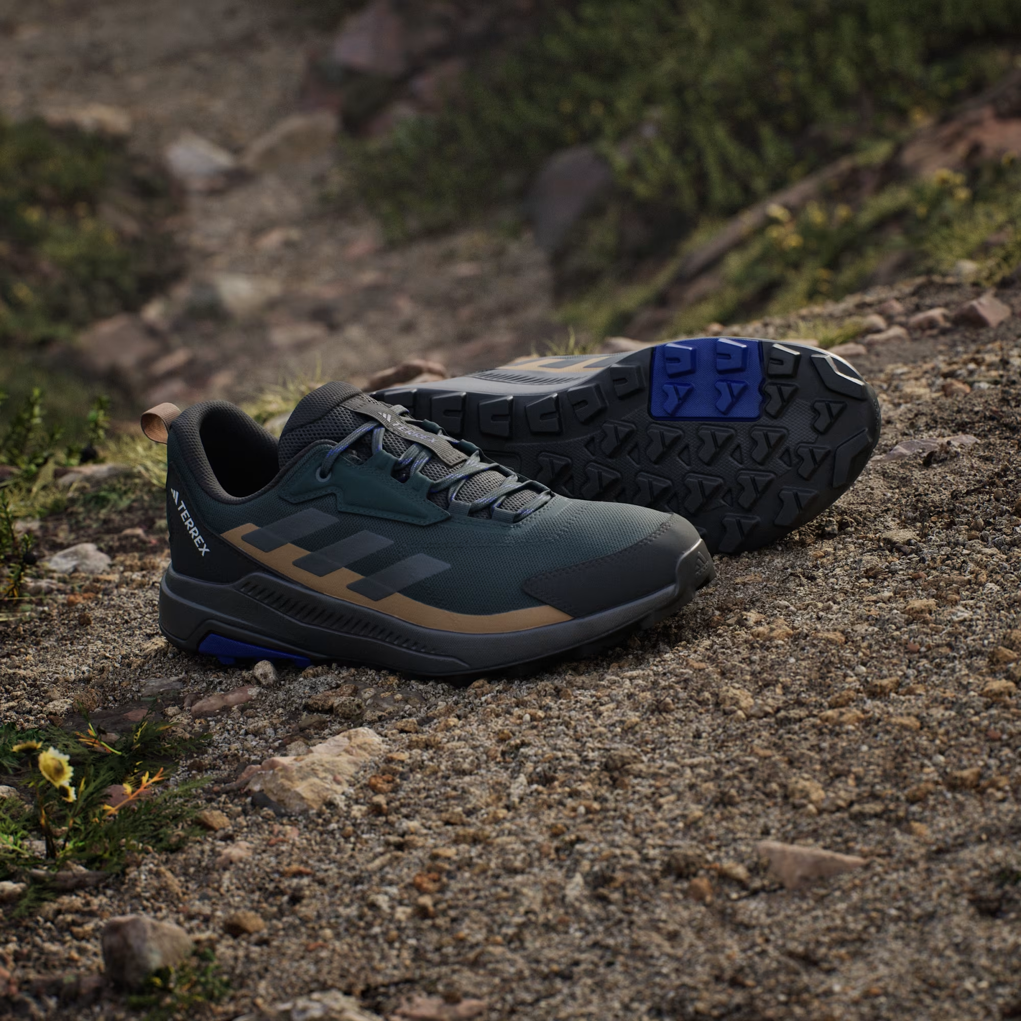 Adidas Terrex Anylander